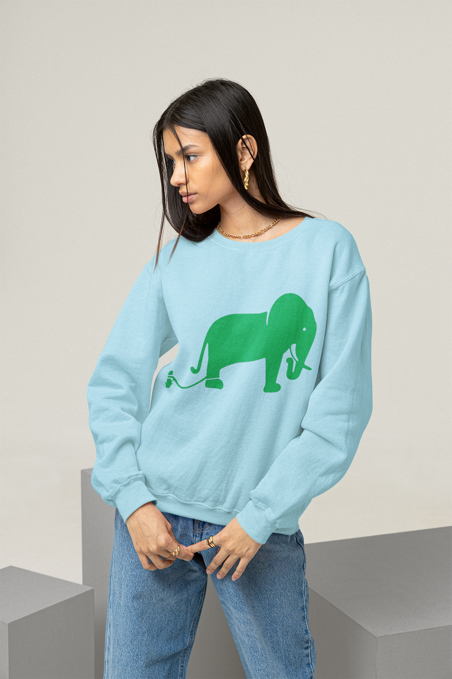 2.2 Women's Crewneck Pullovers - Powder Blue