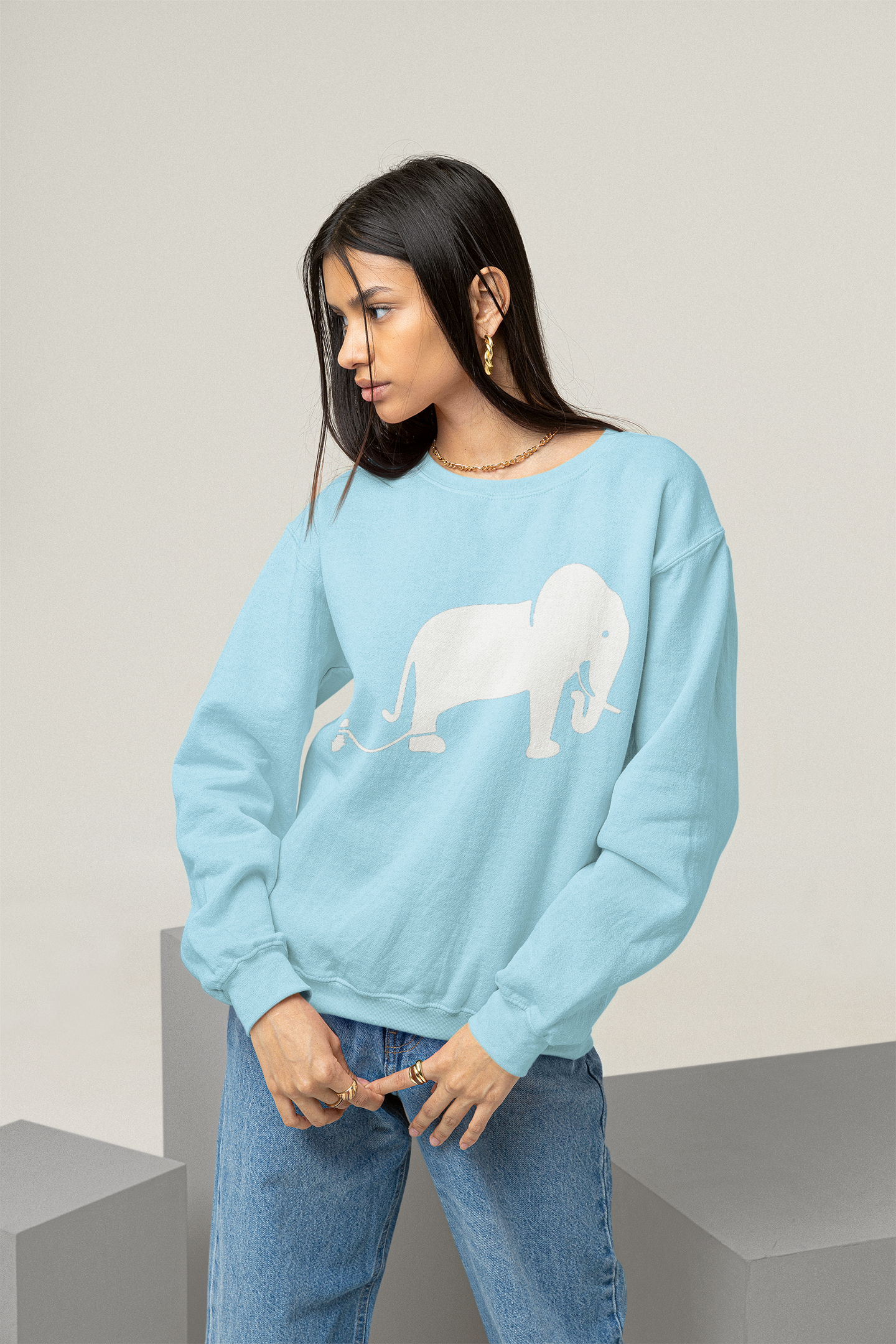 2.2 Women's Crewneck Pullovers - Powder Blue